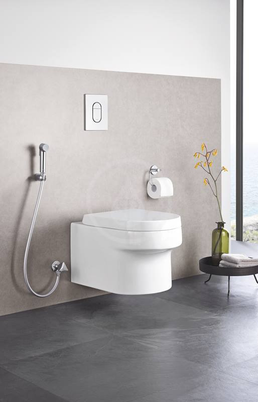 Grohe Tempesta-F Trigger Spray 30 Ensemble avec robinet d'arrêt 1 jet,  chromé (27514001)