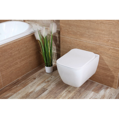Abattant WC double Victoria - résine thermodur blanc à prix mini - ROCA  Réf.A801B6000B
