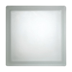 Luxfera brique de verre clair 19x19x8 cm, brillant (1908P)