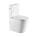 Pack WC à poser SAT Brevis