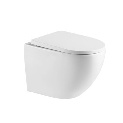 Swiss Aqua Technologies WC suspendu sans bride et fixations invisibles, abattant frein de chute (SAT67010RREXP)