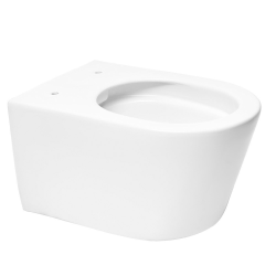 Swiss Aqua Technologies Pack WC Bâti-support Rapid SL + WC sans bride SAT Brevis + Abattant softclose + Plaque chrome + Brosse de toilette OFFERTE