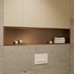Timeless Niche de Douche à encastrer, Acier Inoxydable 304, 119x26x10cm, Cuivre brossé PVD
