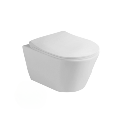 Pack WC Bâti-support Duofix + WC sans bride SAT + Abattant softclose + Plaque blanche + Brosse de toilette grise