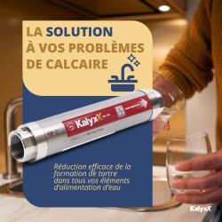 Swiss Aqua Technologies Adoucisseur d&apos;eau Anticalcaire innovant IPS Kalyxx RedLine G1 " femelle (IPSKXRG1)