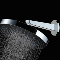  Douche de tête 1 jet avec bras de douche, diamètre 30 cm, chrome (SATBSHS81SET)