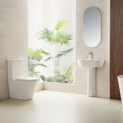 Project Combi WC à poser sans bride en céramique avec abattant SoftClose, blanc (SATPRO31)