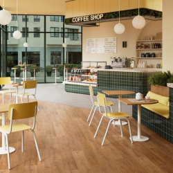 Zenn 30 Caïro Revêtement de sol en vinyle clipsable et coussin insonorisant intégré, marron, 2,17 m2 (60002211)