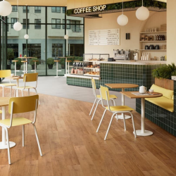 Zenn 30 Caïro Revêtement de sol en vinyle clipsable et coussin insonorisant intégré, marron, 4,34 m2 (60002256)