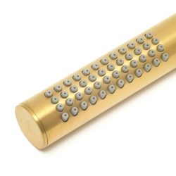 Swiss Aqua Technologies Dark douchette à main 1 fonction, or brossé (SATBSRSDABZ)