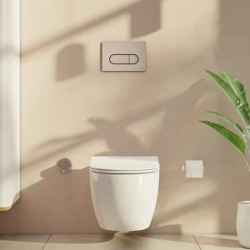 Root plaque de commande double touche en plastique, nickel brossé (740-2295)