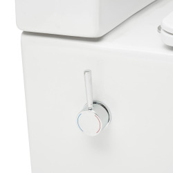 Brevis ensemble cuvette WC à poser avec abattant SoftClose, fonction bidet intégrée, blanc (SATBRE36BFCB)