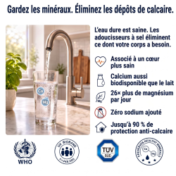 Alternative adoucisseur d'eau KalyxX Active 1" (IPSKXFRAG1)