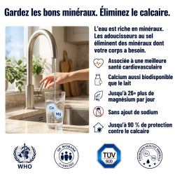 Alternative adoucisseur d'eau KalyxX Blue Line 3/4" (IPSKXFRBG34)