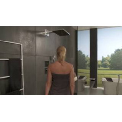 Hansgrohe Rainmaker Select Douche de tête Rainmaker Select 460 2jet avec bras de douche 450 mm, noir/chromé (24005600)