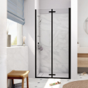 Porte et paroi de douche